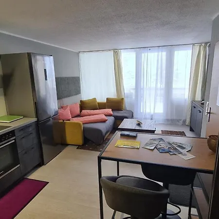 Apartment Schoene Im Bayerischen Wald Sankt Englmar